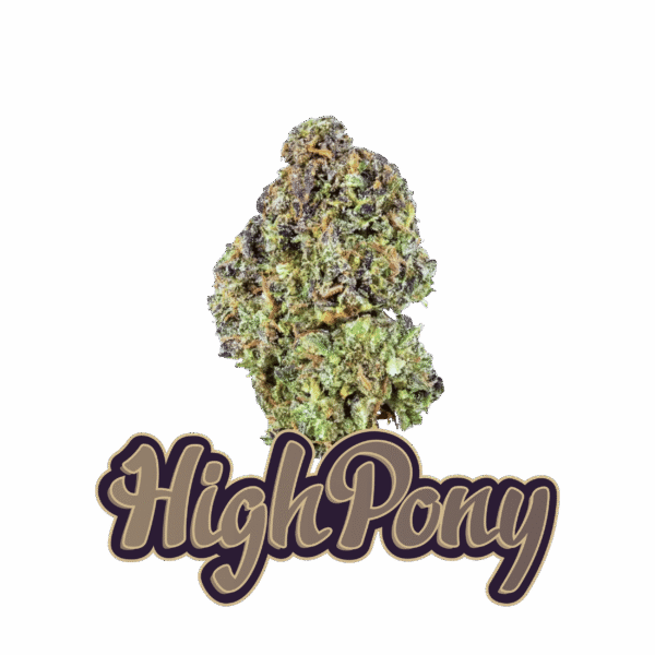HighPony THCX Květy (BIG BOOTY)