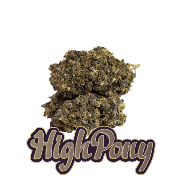 HighPony THCX Květy (HIGHPONY CEO)